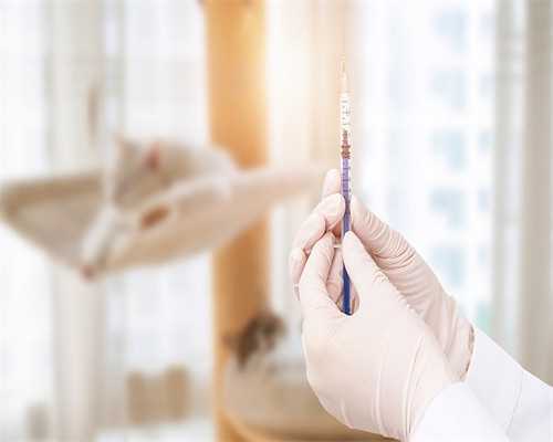 洛阳装修公司排名前十强(装饰公司十大排名)