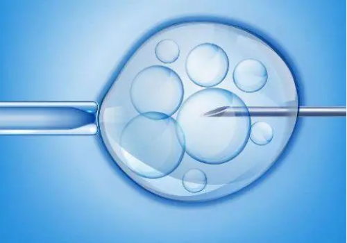 哪里招代怀妈妈_代怀小孩哪里有_青海省人民医院可以做供卵第三代试管婴儿吗