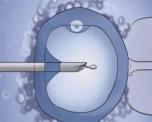 银川供卵试管代怀生孩子的秘密