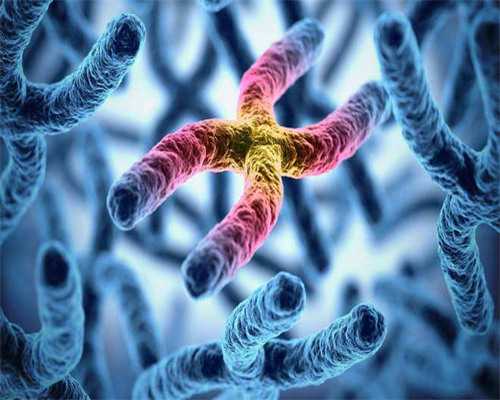 洛阳第三代试管婴儿多少钱,洛阳试管婴儿双胞胎多少钱