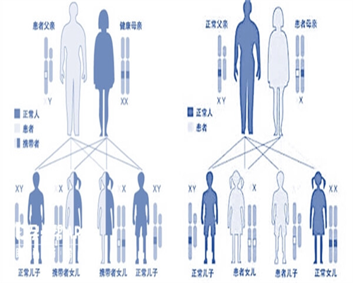 代怀小孩电话_最可靠代怀_产检费用定额补助标准提高至1600元/人！青岛提高生