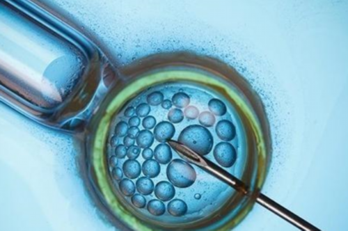 郑州代怀助孕公司,郑州助孕试管婴儿的出生缺陷更多吗?