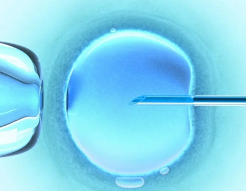 洛阳专业找代怀价格低|合法供卵试管中心（厦门合法供卵试管中心）