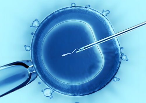 洛阳可以做试管的医院,洛阳试管婴儿骗局有哪些？