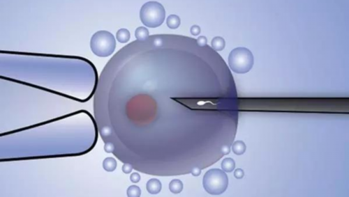 河南开封做试管的医院有哪些？