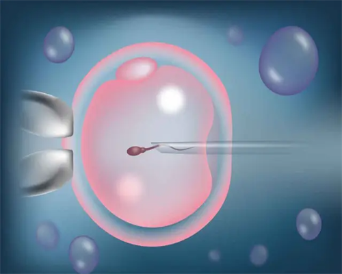 河南试管成功率排名 河南试管婴儿医院哪家最好