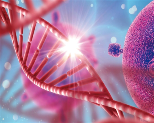 排除遗传疾病，洛阳首例第三代试管婴儿诞生,洛阳市妇幼保健院试管三代的成