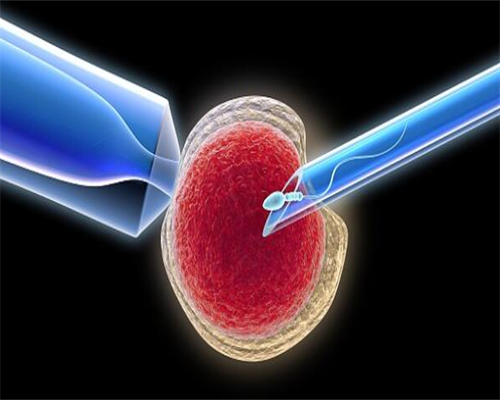代怀生子正规公司_代怀公司介绍_仁怀哪里有做试管婴儿的医院，成功率有多高