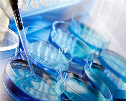 洛阳代孕人工移植成功率高吗|输卵管通畅，有必要做试管婴儿吗