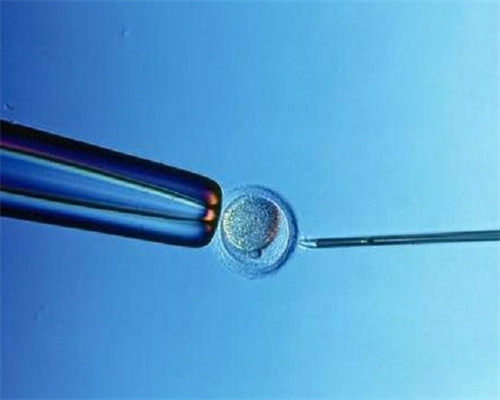 洛阳有没有捐献精子的机构啊？,洛阳1*试管助孕机构