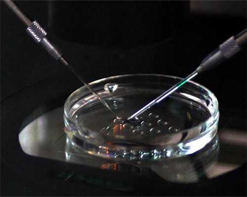 专业代怀收费_哪里代怀,做泰国试管婴儿碧雅威医院和全球哪个好？-上海代怀宝