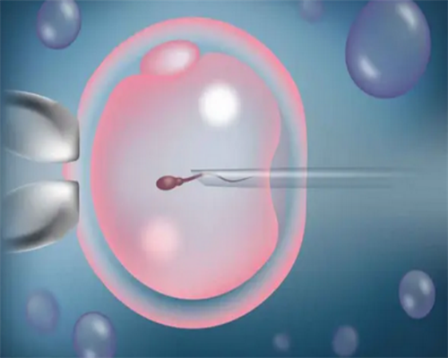 郑州试管婴儿生男孩怎么样？郑州做试管能生男孩吗？-上海供卵试管公司有哪