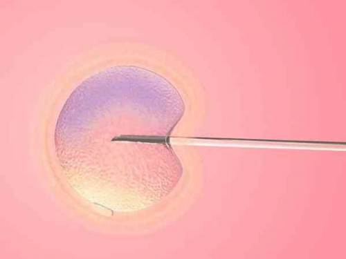 在漯河本地医院做试管婴儿好还是去郑州做比较好？