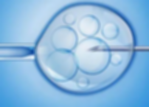 河南助孕价格,河南**男孩,河南**妈妈,河南武警试管婴儿医院价格多少钱？