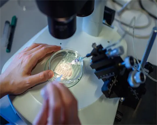 辽阳供卵代怀孕三代试管包儿子