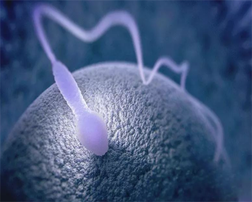 河南省生殖医院,河南正规三代试管医院