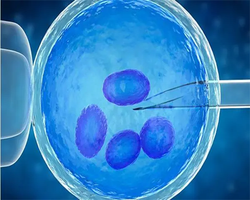 代怀最靠谱的公司_代怀小孩哪里便宜_岳阳三代试管可以双胞胎吗