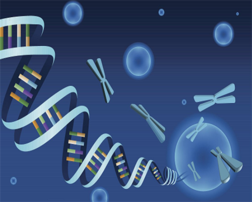 河南河南第三医院试管婴儿成功率有多少?医院好不好?