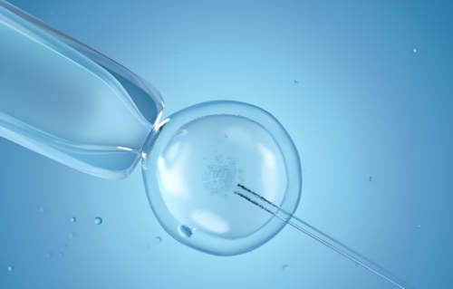 河南可以代孕么 河南试管成功率排名，哪些医院可以做 ‘三维能看男女吗’