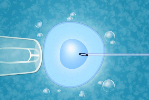 河南29岁女老板是谁,河南女性不孕检查项目有哪些
