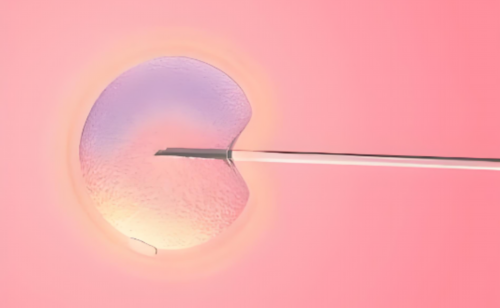 郑州瑞金供卵：上海供卵试管价目表