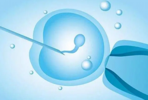 试管婴儿郑州和南阳（郑州试管婴儿三大医院）