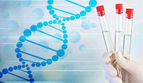 卵巢早衰在洛阳哪个中医,洛阳金贝供卵医院简介