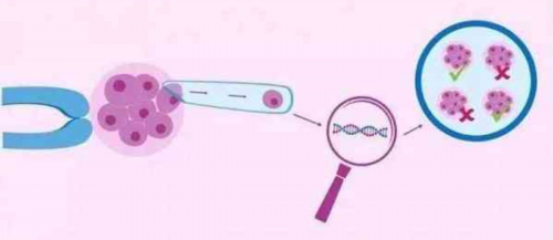 河南洛阳妇幼做试管需要准生证吗(有在洛阳妇幼做试管的吗)