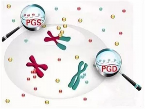 代怀孕机构微信号_最便宜代怀价格_辽宁中医药大学附属医院试管婴儿做好准备