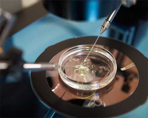 洛阳同性的人能不能找人代孕啊|一直怀不上想去做试管婴儿，试管婴儿的体质