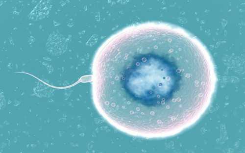 河南到河南，34岁到43岁，千里寻医，十年期盼，终得好孕