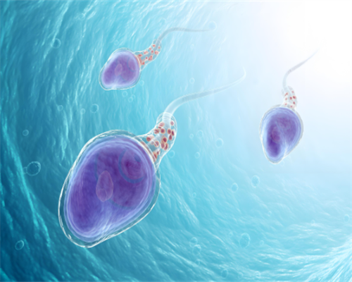 郑州私立试管代怀,河南郑州三代试管婴儿只有这三家能做，看完你就清楚了