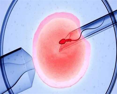 代怀网哪家机构好_代怀孕公司可靠吗_2026徐州市中心医院做试管婴儿生男孩要多