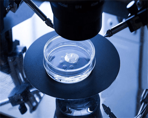 郑州代怀多少费用|[快讯]郑州试管婴儿选性别需要多少钱