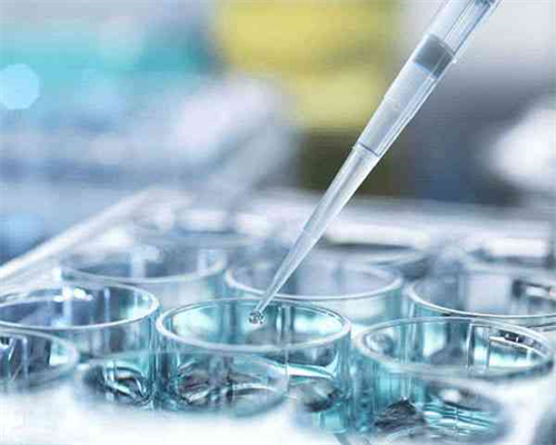 郑州一附院做试管全国排名多少?郑州一附院试管婴儿_供卵的法律规定