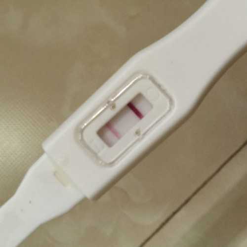 河南试管生儿子女儿概率高吗,河南试管哪个医院成功率高？河南想做试管去哪