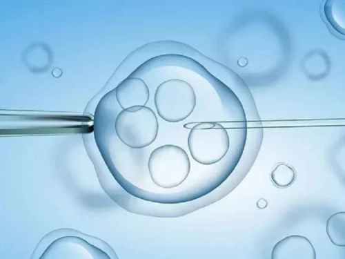 哪里代怀孕最好_代怀生男孩宝宝_农村合作医疗能报销试管婴儿费用吗