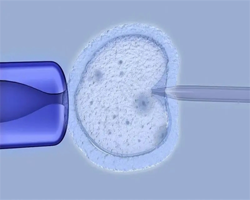 代怀孕公司可靠吗_正规代怀多少钱_长沙哪里有试管婴儿(长沙试管婴儿有几家