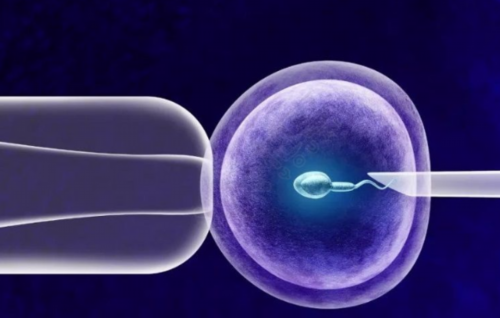 河南紫朵朵地下供卵_做试管婴儿需要多长时间，要辞职吗？