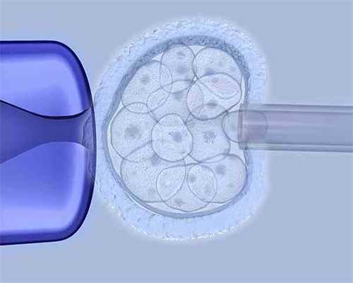 代怀孩子多少钱利_代怀生子机构_试管婴儿过程要多久，各步骤怎么分配时间？