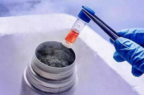 安顺供卵试管助孕代怀生孩子机构