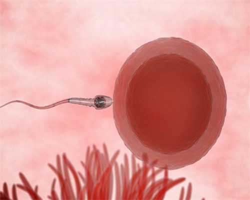 2026年河南驻马店有可以做试管婴儿造娃医院吗