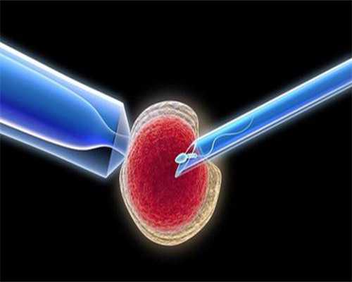 河南正规供卵试管价格多少钱,河南做试管正规机构_河南试管助孕咨询