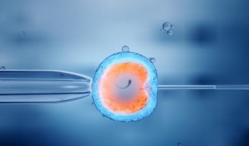 郑州双胞胎代怀网,郑州*卵试管婴儿医院如何选择？有哪些选择方法？