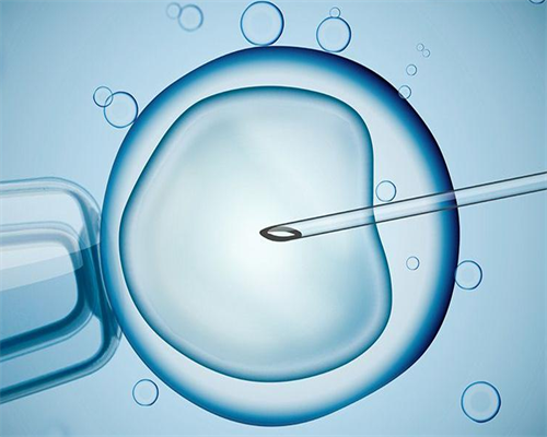 辽阳供卵代怀孕三代试管包儿子