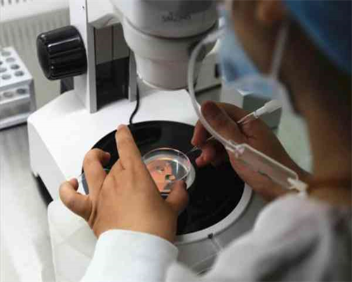 洛阳iso认证,洛阳iso认证办理电话,洛阳iso认证机构