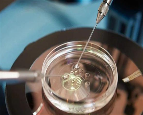 洛阳正规的助孕机构有哪些|2026廊坊试管婴儿医院推荐，附成功率及费用介绍