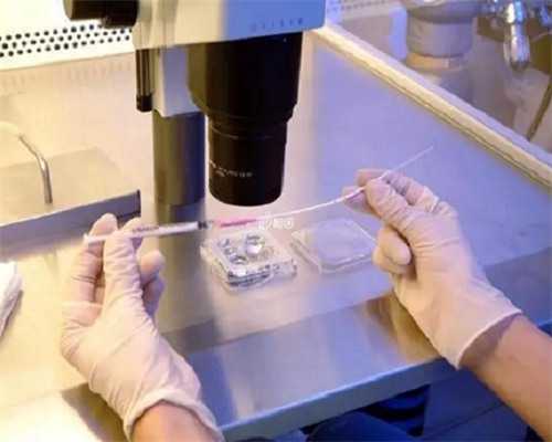 河南找正规供卵机构电话号码,河南正规民营供卵机构名单列表