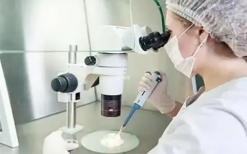 洛阳人工受精医院哪家洛阳中山医院有供卵试管吗好