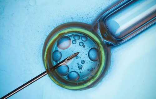 河南哪里可以冻卵？,借卵费用安全河南十月幸孕